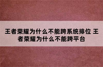 王者荣耀为什么不能跨系统排位 王者荣耀为什么不能跨平台